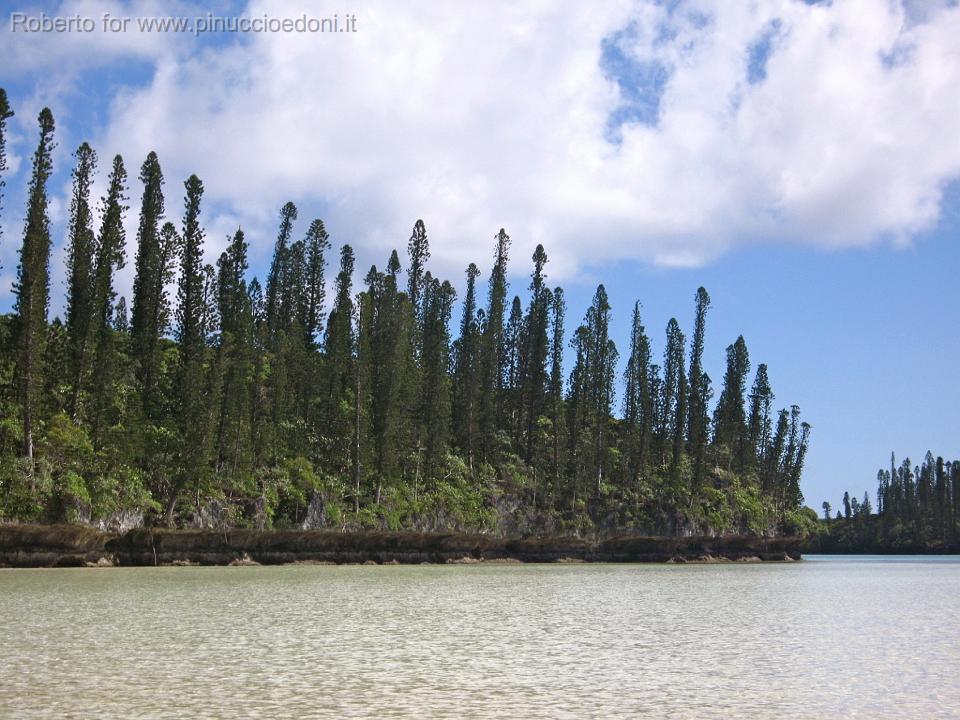 11-baia d'oro.JPG